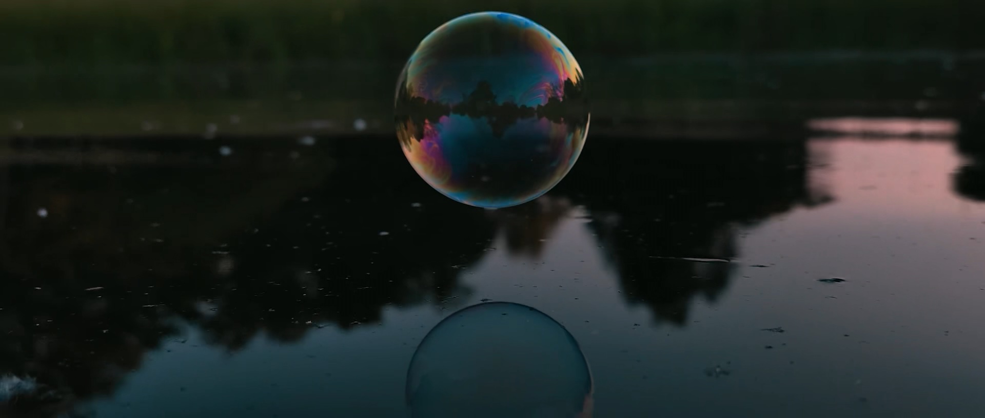 The Most Fragile Thing On Earth